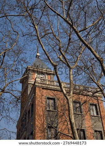 Historic Clock Tower with Bare Trees in Shanghai