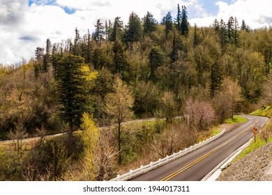 Historic Columbia River Highway Hairpin Turn