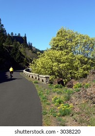 Historic Columbia River Highway State Trail