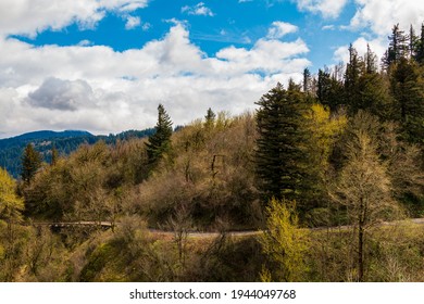 Historic Columbia River Highway From Vista House