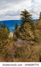 Historic Columbia River Highway From Vista House