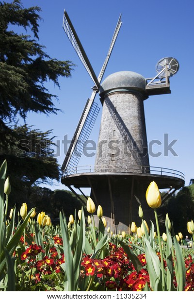 Historic Dutch Windmill Queen Wilhelmina Tulip Stock Photo Edit Now