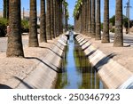 Historic Goodyear canal along Basha Road, Chandler Arizona