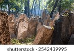 Historic gravestones in the crowded Old Jewish Cemetery in the Prague ghetto area in the Czech Republic. Space was limited and graves were layered up to ten deep. Some have sunk into the ground.