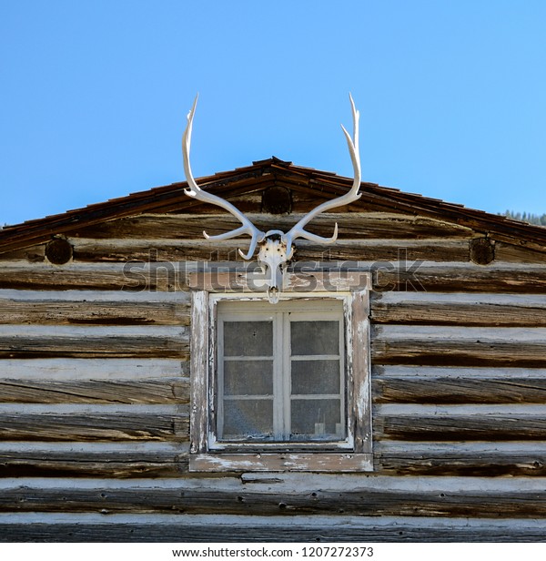 Historic Log Home Cabin Yellowstone National Stock Photo Edit Now