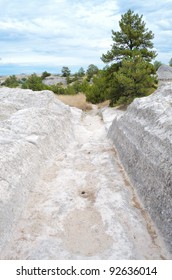 Historic Oregon Trail Ruts In White Rock