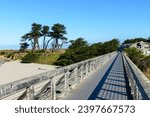 Historic Pudding Creek trestle, a tranquil wooden bridge in Fort Bragg, California offering scenic ocean views