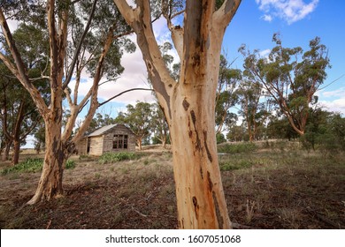 Historic Rundown School, Dilapidated Old Building In Rural Central Victoria, Australia. Abandoned Building In Mologa. Australian Bush Land. 