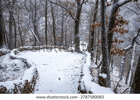 Historic stone bridge path inside a snowy winter forest. An old ancient stone masonry bridge and foot path covered in deep white snow in the middle of beautiful frozen woods.