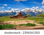 Historic T. A. Moulton Barn at Mormon Row in Grand Teton National Park on a sunny summer day, with snowcapped Teton Mountain Range in the background.