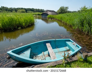 Historic thatched boathouses amongst the verdant reeds on Hickling Broad, east of Norwich, in Norfolk UK. Blue Rowing boat in the foreground.
