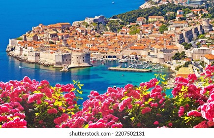 Historic Town Of Dubrovnik Panoramic Rose Flower View, Tourist Destination In Dalmatia Region Of Croatia