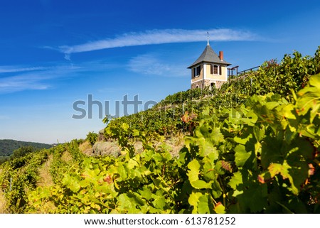 Similar – Tower in the vineyard Food