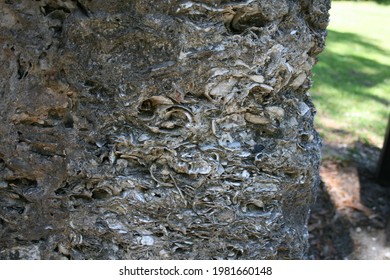 Historic Wall Made Of Shells In Summerville, SC