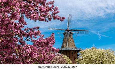 Historic Windmill in Windmill island gardens in Holland, Michigan during springtime. - Shutterstock ID 2287379057