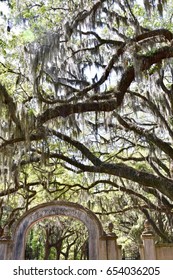 Historic Wormsloe Plantation Entrance Savannah Georgia