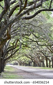 Historic Wormsloe Plantation Entrance Savannah Georgia