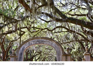 Historic Wormsloe Plantation Entrance Savannah Georgia