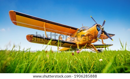 historical aircraft on a meadow