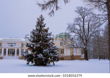 Historical architecture of the 18th century, a historic noble manor and a Christmas tree in the village of Marino in a snow-covered park in Russia.