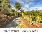 The Historical Botanical Garden La Concepcion in Malaga city at Andalusia, Spain, Europe. Serene botanical garden path winds through diverse cacti and succulents under a bright, sunny sky.