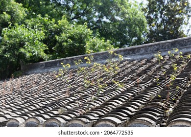 Historical Chinese Roof Tile Of Gulongzhong Park, Xiangyang