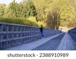Historical Lower Shotover Bridge in Queenstown, New Zealand, featuring a woman leaning on its railing, gazing at the lush green surroundings in daylight