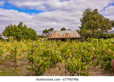 Historical Steike Home At Gibson's Cellar Door, Baroosa Valley, South Australia