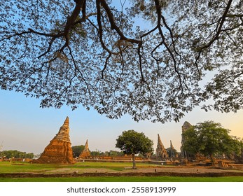 Historical temple ruins with ancient pagodas under the branches of a large tree at sunset, creating a tranquil and cultural scene in Ayutthaya, Thailand. - Powered by Shutterstock