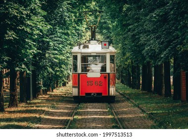 Historical tram going through corridor of trees in summer.