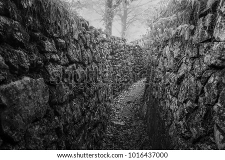 Historical trench from the First World War. Photographed in Austria where they fought against Italy in a bloody war in the Alps