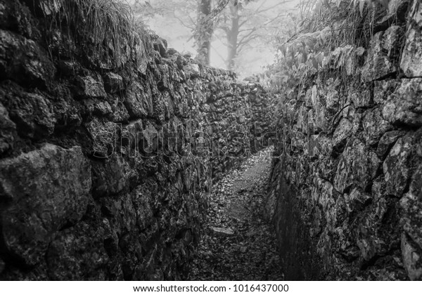 Historical trench from the First World War.\
Photographed in Austria where they fought against Italy in a bloody\
war in the Alps
