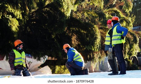 Hittolovo, Leningrad region , Russia - 12..07.2020: Workers in the forest road prepare for transportation spruce to installon Palace Square as the main city New Year and Christmas tree - Shutterstock ID 1870976428