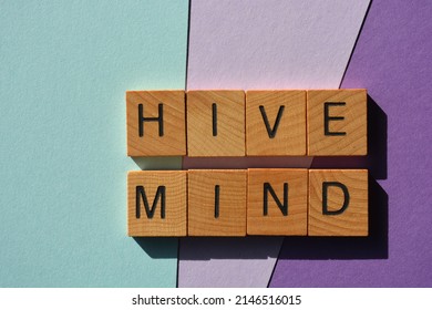 Hive Mind, Words In Wooden Alphabet Letters Isolated On Background