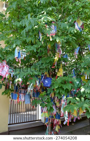 Hiymorin, color Buddhist tags with a prayer hang on a tree