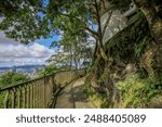 HK City June 23 2024 the findlay path at the peak