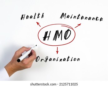  HMO Health Maintenance Organization Written Text. Fashion And Modern Office Interiors On An Background.
