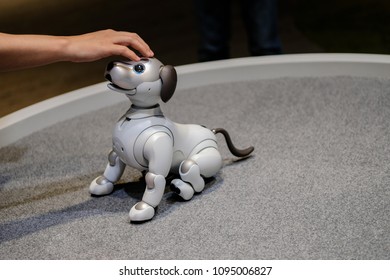 Ho Chi Minh City / Vietnam - Apr 24th 2018:  Dog Robot Sony Aibo