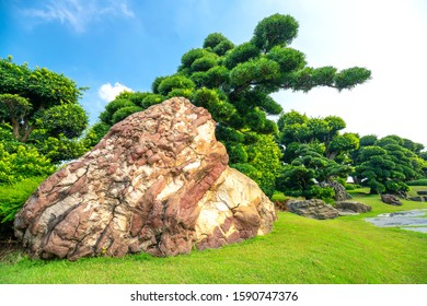 Ho Chi Minh City, Vietnam - November 19th, 2019: Bonsai garden beauty with cypress, pine, stone, water as paintings incorporate blending attract tourists sightseeing in Ho Chi Minh City, Vietnam.