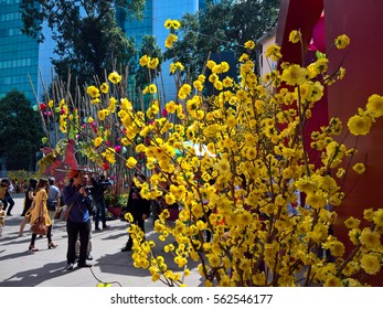 Ho Chi Minh city, Vietnam - Jan 22, 2016: : Atmosphere of springtime with colorful scene on Saigon street, Vietnamese woman in ao dai, posing beside flower to take photo on Tet holiday