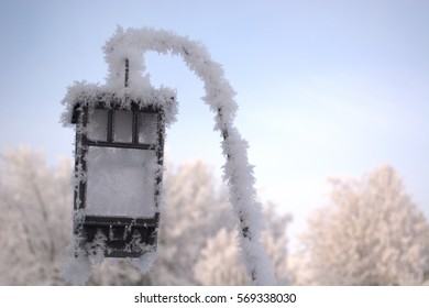 Hoar Frost