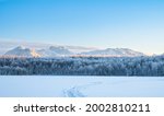 Hoar frost covers spruce trees around a frozen snow covered lake in Anchorage Alaska with the mountains and a blue sky in the background on a clear, cold day.