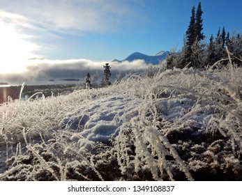 Hoar frost growing thick on the grass, with a fine structure. Blue skies with endless views across Atlin Lake to Atlin Mountain. Crisp and clear air, no wind. Atlin, British Columbia, Dec. 24-30, 2017