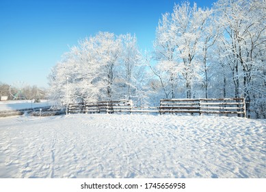 Hoar Frost On Trees And Car Tracks In A Fresh Snow, Close-up. Ferris Wheel In The Background. Sunny Winter Day After A Blizzard. Christmas Vacations Theme. Gauja National Park, Sigulda, Latvia