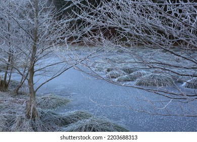 Hoar Frost Or White Frost On A Cold Winter Day