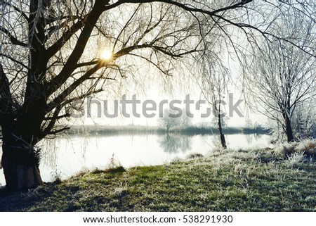 Similar – Foto Bild ::ELBSTRAND:: Baum Holz