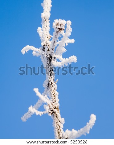 Similar – Foto Bild Erogene Zone Natur Himmel