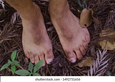 Feet image of hobbit 