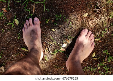 Are hobbit feet what 12 Things