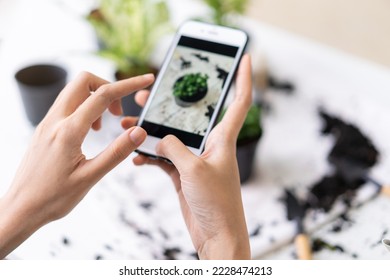 Hobby, asian young woman hand using mobile phone, cellphone taking photo of pot, houseplant with dirt soil on table at home, gardening tree plant in garden farm, green tropical, beauty and nature. - Shutterstock ID 2228474213